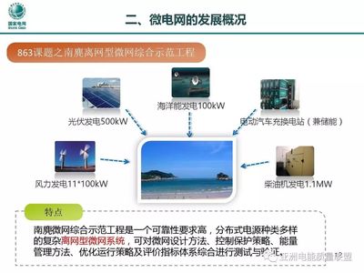 分布式发电与微电网技术及关键装备